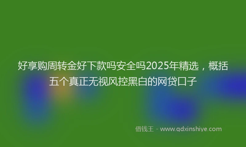 好享购周转金好下款吗安全吗2025年精选，概括五个真正无视风控黑白的网贷口子