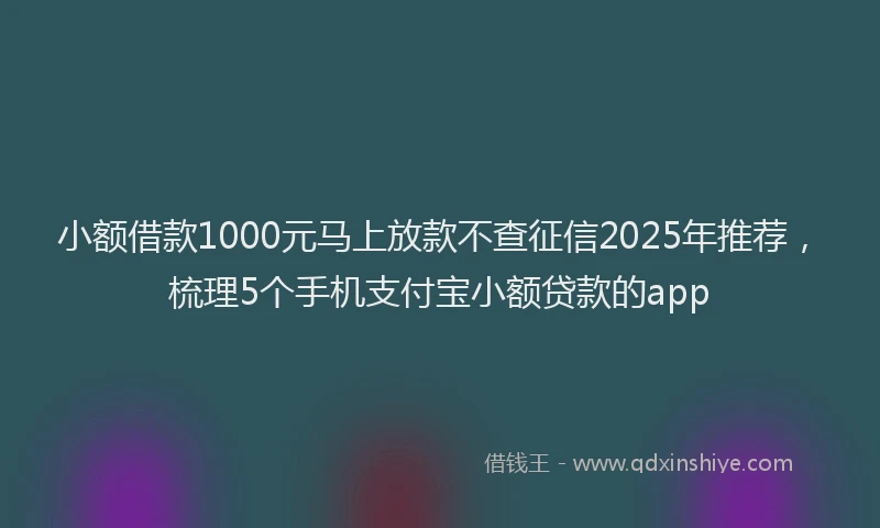 小额借款1000元马上放款不查征信2025年推荐,梳理5个手机支付宝小额贷款的app
