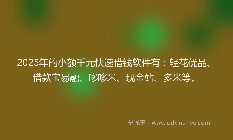 2025年的小额千元快速借钱软件有：轻花优品、借款宝易融、哆哆米、现金站、多米等。