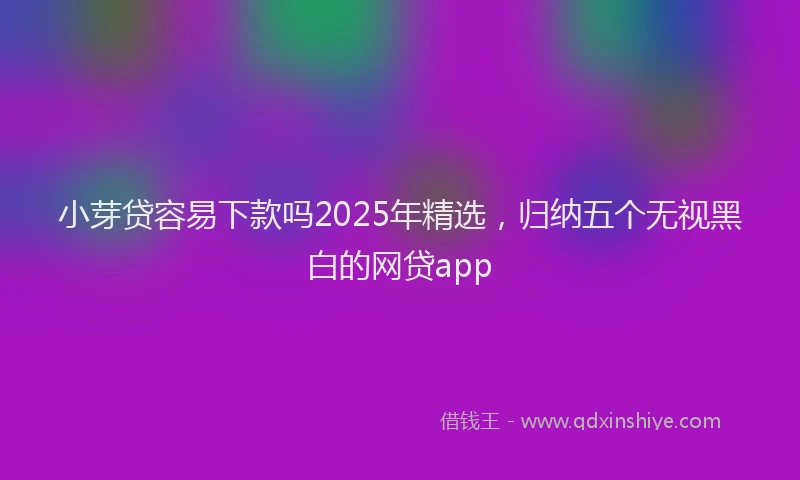 小芽贷容易下款吗2025年精选，归纳五个无视黑白的网贷app