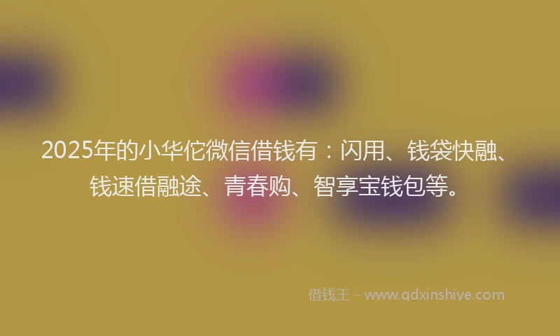 2025年的小华佗微信借钱有：闪用、钱袋快融、钱速借融途、青春购、智享宝钱包等。