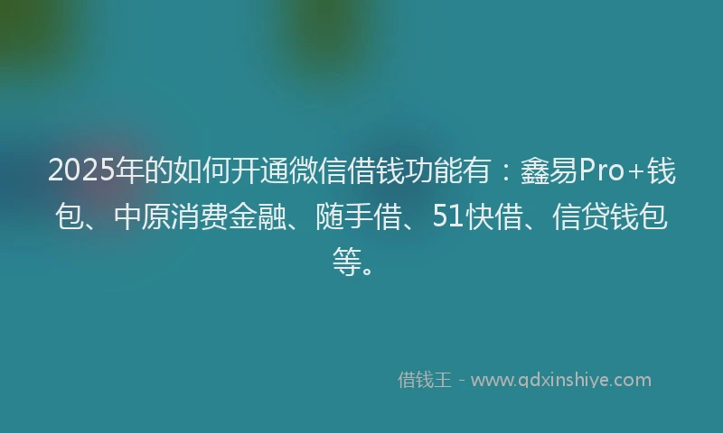 2025年的如何开通微信借钱功能有：鑫易Pro+钱包、中原消费金融、随手借、51快借、信贷钱包等。