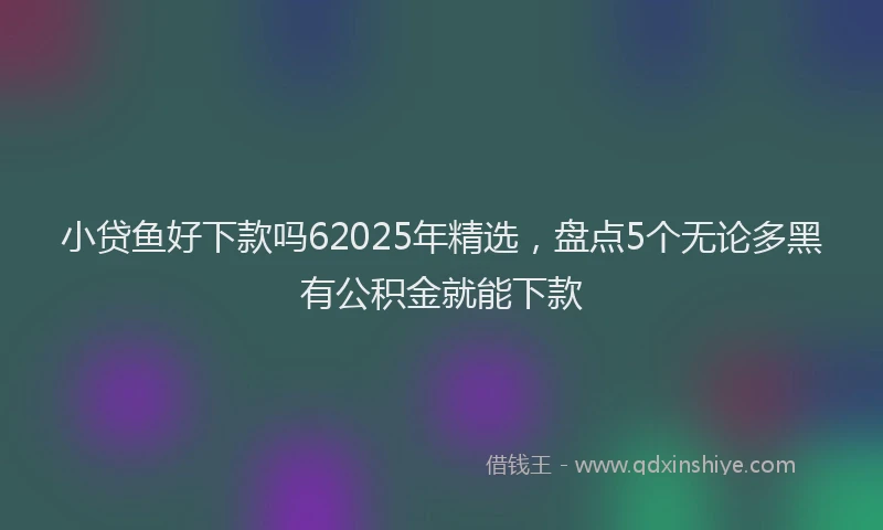 小贷鱼好下款吗62025年精选，盘点5个无论多黑有公积金就能下款
