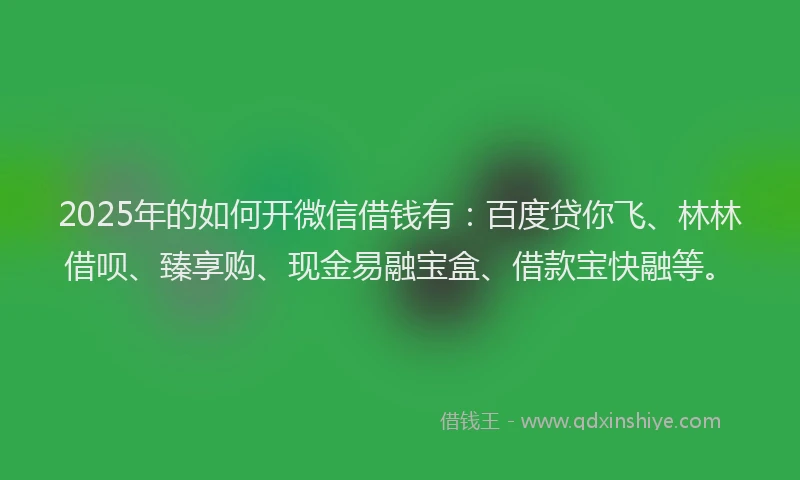 2025年的如何开微信借钱有：百度贷你飞、林林借呗、臻享购、现金易融宝盒、借款宝快融等。