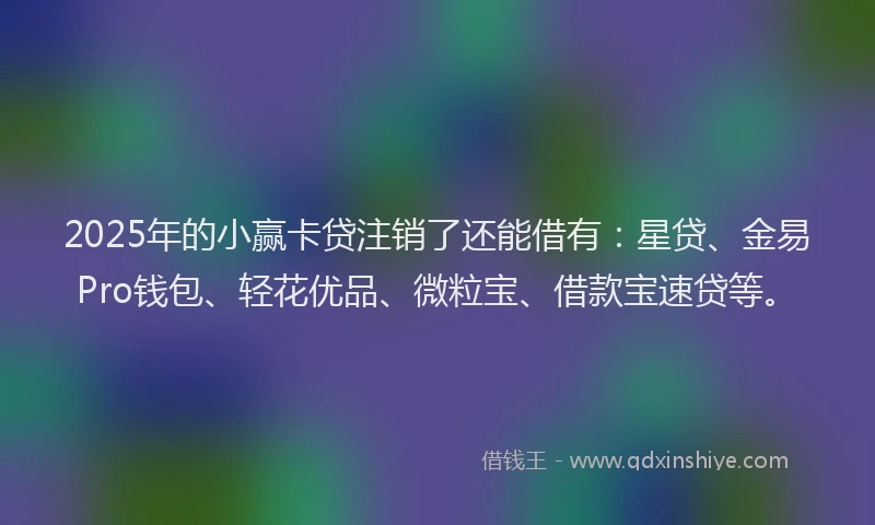 2025年的小赢卡贷注销了还能借有：星贷、金易Pro钱包、轻花优品、微粒宝、借款宝速贷等。