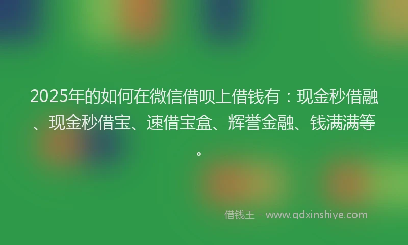 2025年的如何在微信借呗上借钱有：现金秒借融、现金秒借宝、速借宝盒、辉誉金融、钱满满等。
