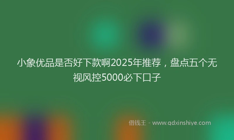 小象优品是否好下款啊2025年推荐，盘点五个无视风控5000必下口子