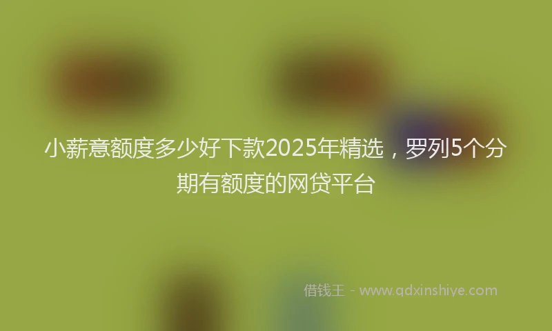 小薪意额度多少好下款2025年精选，罗列5个分期有额度的网贷平台