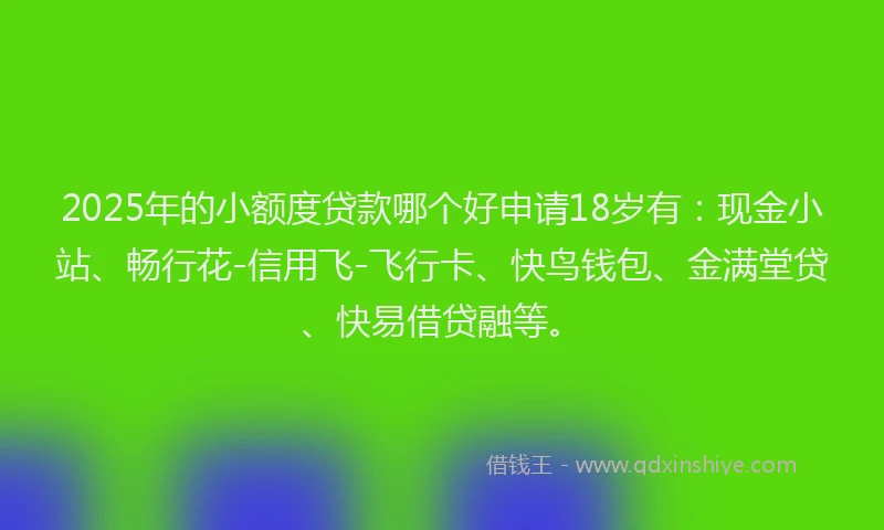 2025年的小额度贷款哪个好申请18岁有：现金小站、畅行花-信用飞-飞行卡、快鸟钱包、金满堂贷、快易借贷融等。