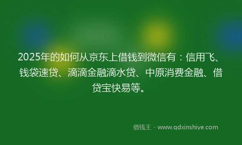 2025年的如何从京东上借钱到微信有：信用飞、钱袋速贷、滴滴金融滴水贷、中原消费金融、借贷宝快易等。