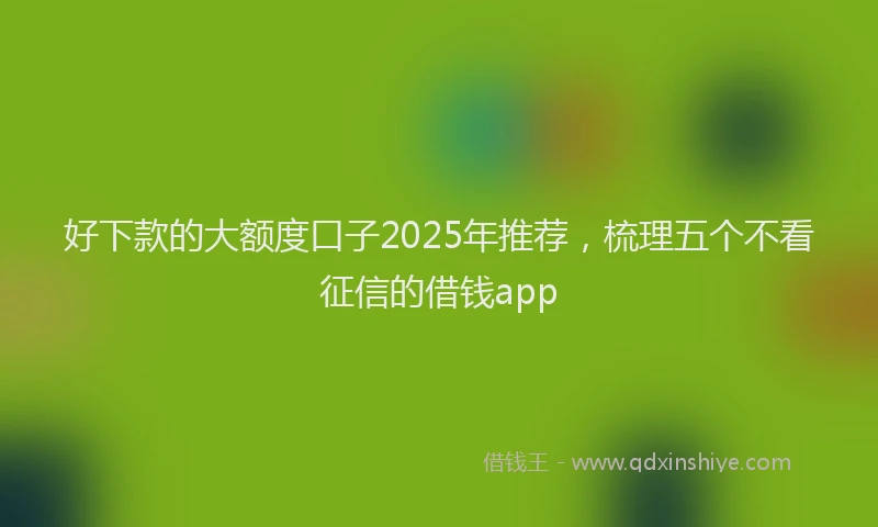 好下款的大额度口子2025年推荐，梳理五个不看征信的借钱app