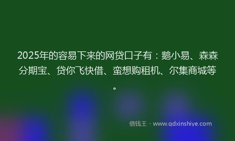 2025年的容易下来的网贷口子有：鹅小易、森森分期宝、贷你飞快借、蛮想购租机、尔集商城等。