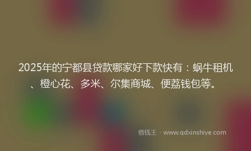 2025年的宁都县贷款哪家好下款快有：蜗牛租机、橙心花、多米、尔集商城、便荔钱包等。