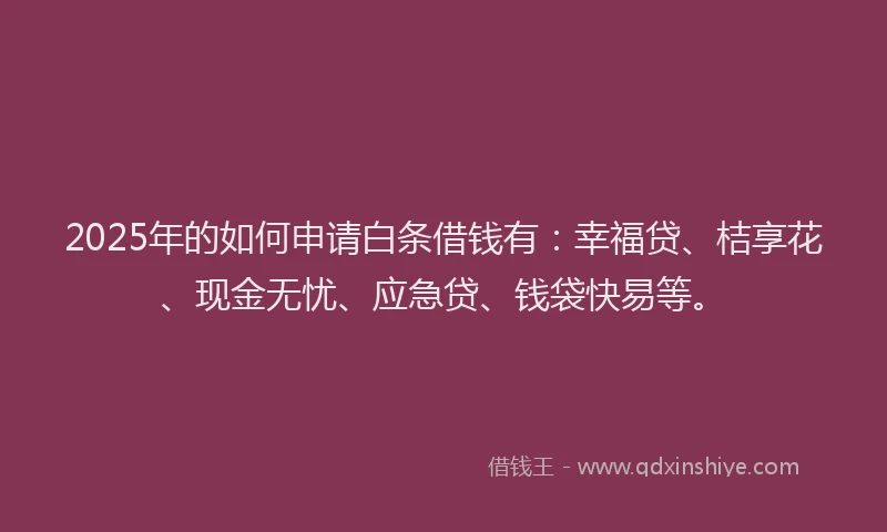 2025年的如何申请白条借钱有：幸福贷、桔享花、现金无忧、应急贷、钱袋快易等。