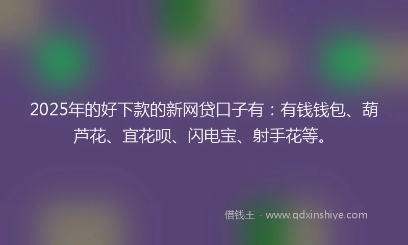 2025年的好下款的新网贷口子有：有钱钱包、葫芦花、宜花呗、闪电宝、射手花等。