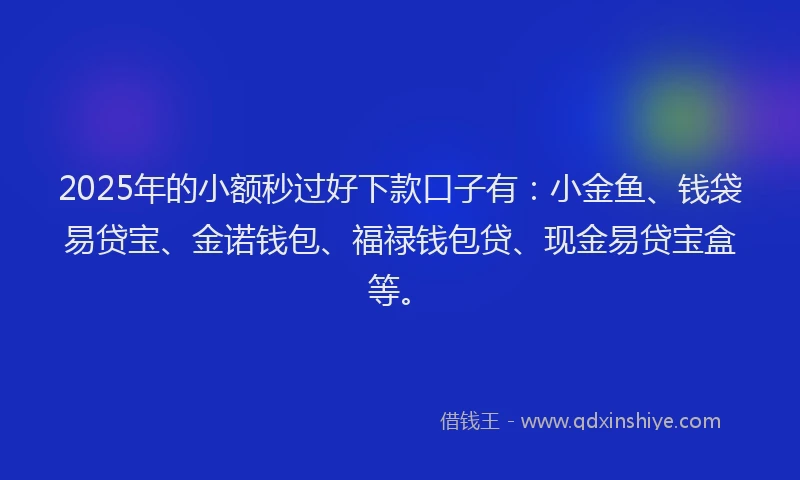 2025年的小额秒过好下款口子有：小金鱼、钱袋易贷宝、金诺钱包、福禄钱包贷、现金易贷宝盒等。