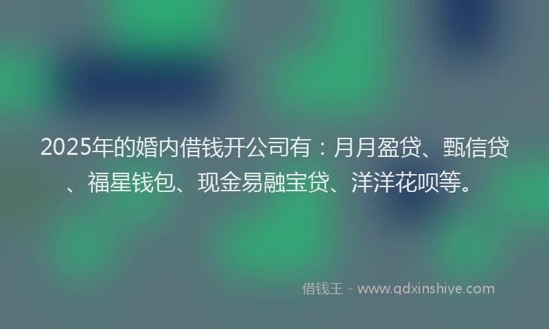 2025年的婚内借钱开公司有：月月盈贷、甄信贷、福星钱包、现金易融宝贷、洋洋花呗等。