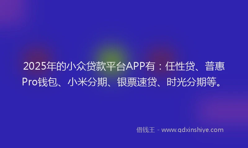 2025年的小众贷款平台APP有：任性贷、普惠Pro钱包、小米分期、银票速贷、时光分期等。