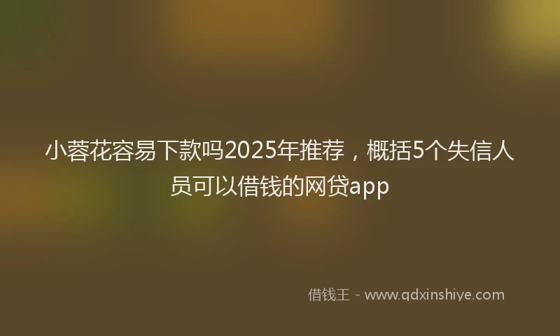 小蓉花容易下款吗2025年推荐，概括5个失信人员可以借钱的网贷app