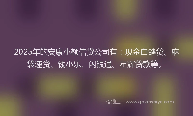 2025年的安康小额信贷公司有：现金白鸽贷、麻袋速贷、钱小乐、闪银通、星辉贷款等。