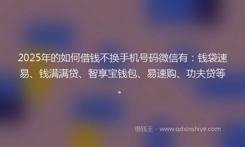 2025年的如何借钱不换手机号码微信有：钱袋速易、钱满满贷、智享宝钱包、易速购、功夫贷等。