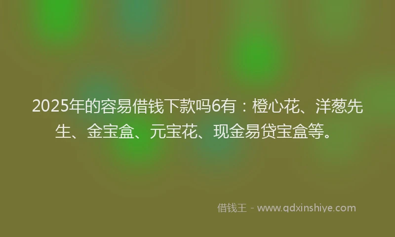 2025年的容易借钱下款吗6有：橙心花、洋葱先生、金宝盒、元宝花、现金易贷宝盒等。
