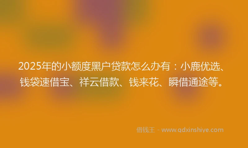 2025年的小额度黑户贷款怎么办有：小鹿优选、钱袋速借宝、祥云借款、钱来花、瞬借通途等。