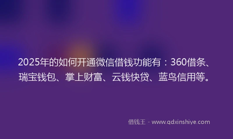 2025年的如何开通微信借钱功能有：360借条、瑞宝钱包、掌上财富、云钱快贷、蓝鸟信用等。