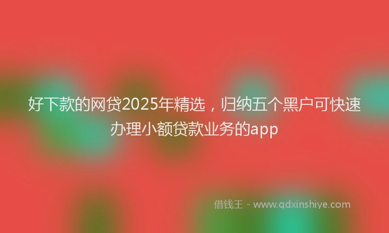 好下款的网贷2025年精选，归纳五个黑户可快速办理小额贷款业务的app