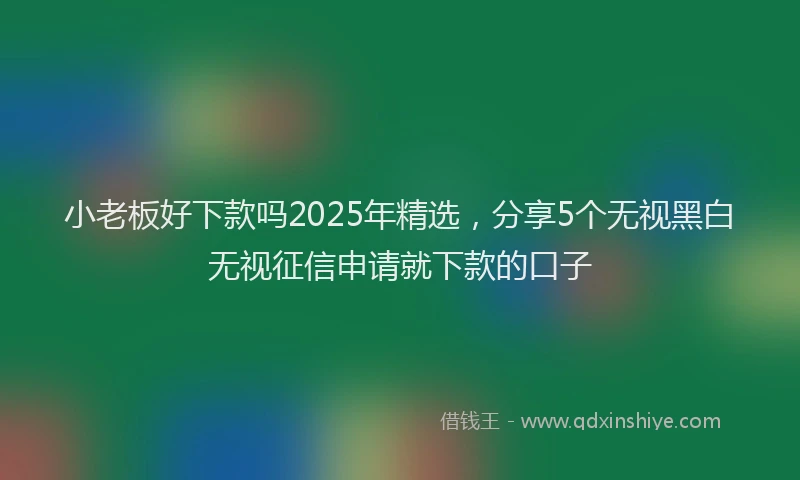 小老板好下款吗2025年精选，分享5个无视黑白无视征信申请就下款的口子