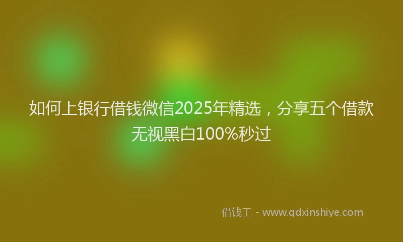 如何上银行借钱微信2025年精选，分享五个借款无视黑白100%秒过