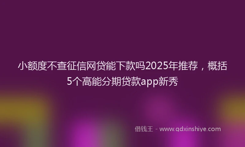小额度不查征信网贷能下款吗2025年推荐，概括5个高能分期贷款app新秀