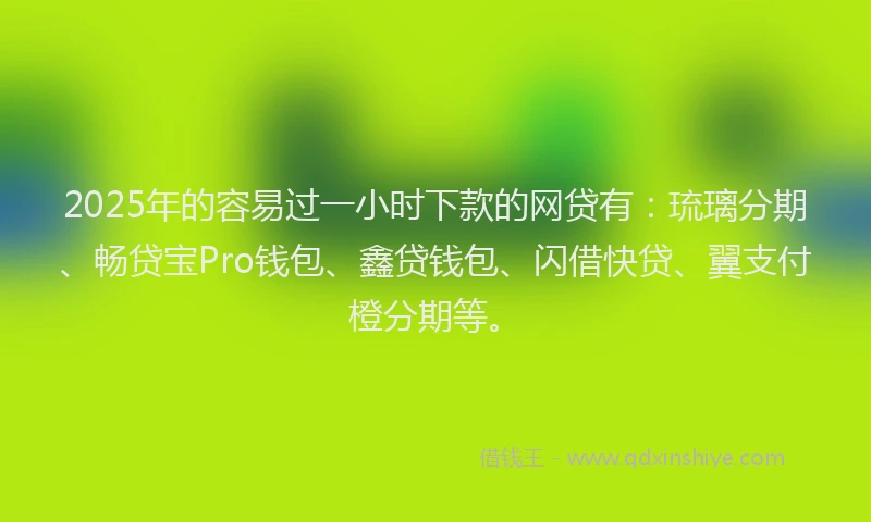 2025年的容易过一小时下款的网贷有：琉璃分期、畅贷宝Pro钱包、鑫贷钱包、闪借快贷、翼支付橙分期等。