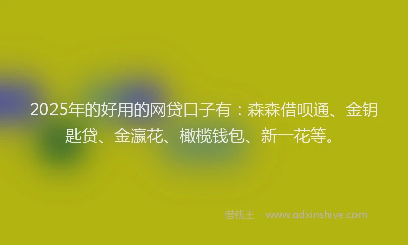 2025年的好用的网贷口子有：森森借呗通、金钥匙贷、金瀛花、橄榄钱包、新一花等。