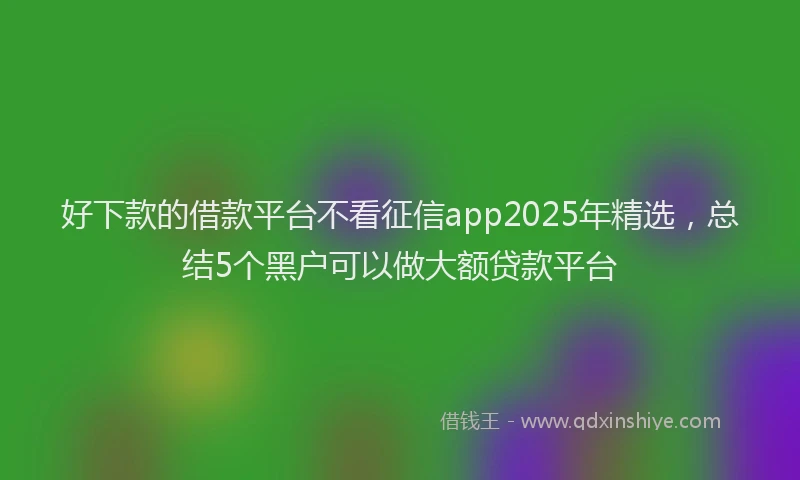 好下款的借款平台不看征信app2025年精选，总结5个黑户可以做大额贷款平台