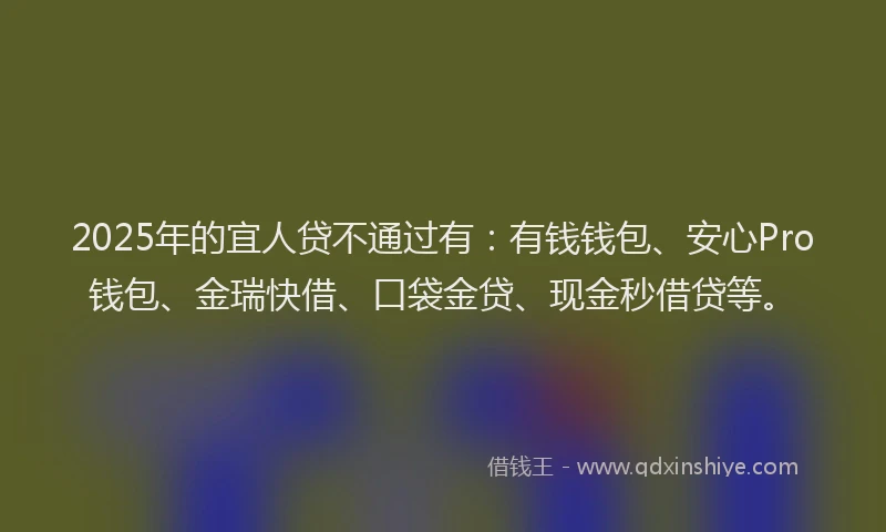 2025年的宜人贷不通过有：有钱钱包、安心Pro钱包、金瑞快借、口袋金贷、现金秒借贷等。