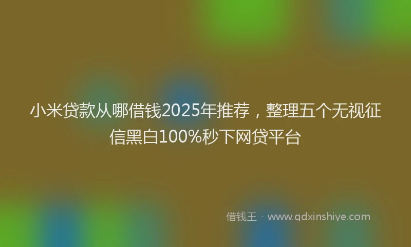 小米贷款从哪借钱2025年推荐，整理五个无视征信黑白100%秒下网贷平台