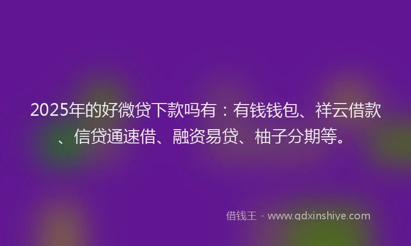 2025年的好微贷下款吗有：有钱钱包、祥云借款、信贷通速借、融资易贷、柚子分期等。