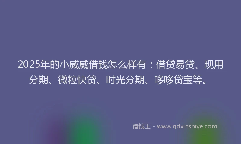 2025年的小威威借钱怎么样有：借贷易贷、现用分期、微粒快贷、时光分期、哆哆贷宝等。