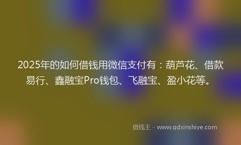2025年的如何借钱用微信支付有：葫芦花、借款易行、鑫融宝Pro钱包、飞融宝、盈小花等。