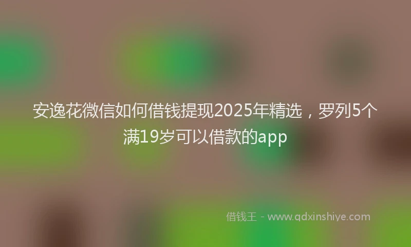 安逸花微信如何借钱提现2025年精选，罗列5个满19岁可以借款的app