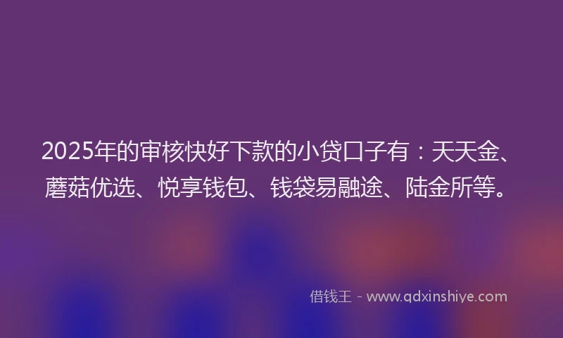 2025年的审核快好下款的小贷口子有：天天金、蘑菇优选、悦享钱包、钱袋易融途、陆金所等。