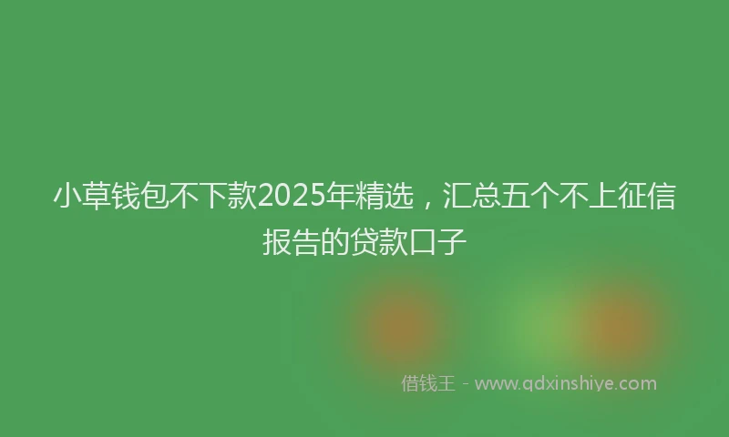 小草钱包不下款2025年精选，汇总五个不上征信报告的贷款口子
