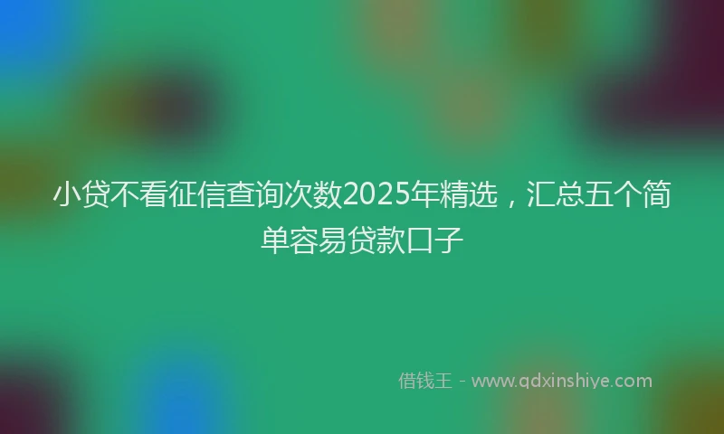 小贷不看征信查询次数2025年精选，汇总五个简单容易贷款口子
