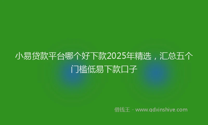 小易贷款平台哪个好下款2025年精选，汇总五个门槛低易下款口子