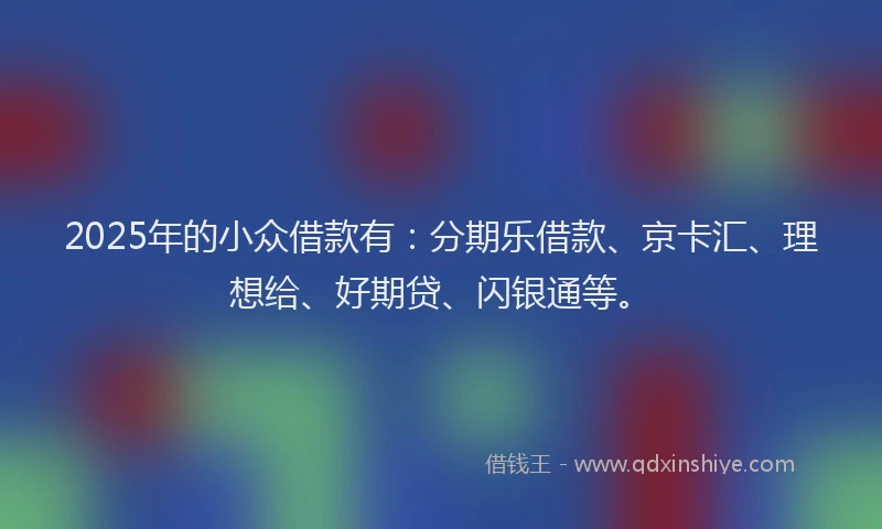 2025年的小众借款有：分期乐借款、京卡汇、理想给、好期贷、闪银通等。