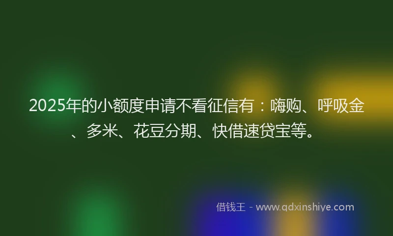 2025年的小额度申请不看征信有：嗨购、呼吸金、多米、花豆分期、快借速贷宝等。