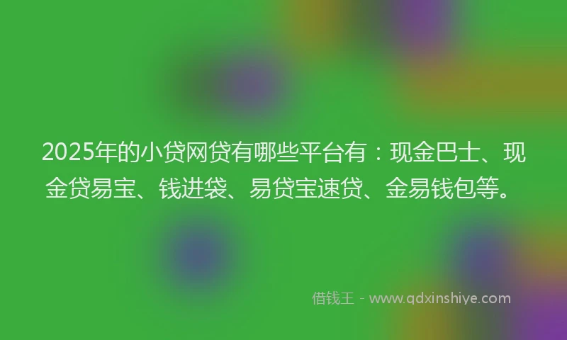 2025年的小贷网贷有哪些平台有：现金巴士、现金贷易宝、钱进袋、易贷宝速贷、金易钱包等。