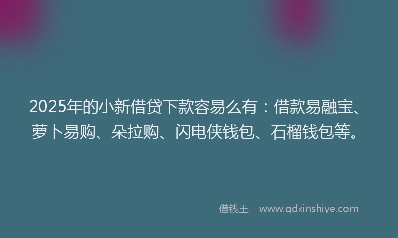 2025年的小新借贷下款容易么有：借款易融宝、萝卜易购、朵拉购、闪电侠钱包、石榴钱包等。
