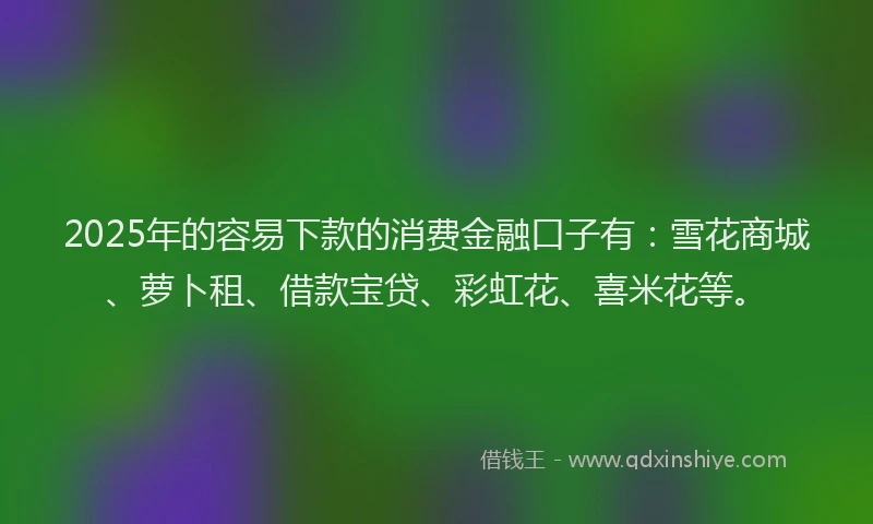 2025年的容易下款的消费金融口子有：雪花商城、萝卜租、借款宝贷、彩虹花、喜米花等。